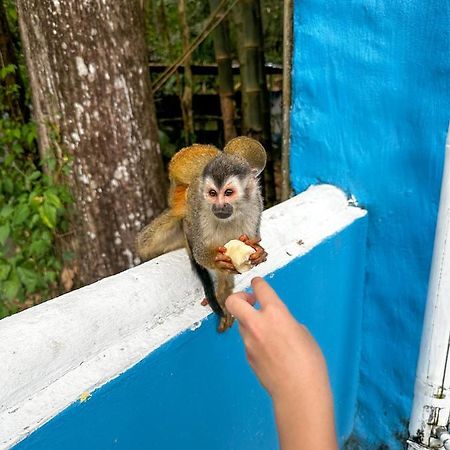 Hospedaje Colibri マヌエル・アントニオ エクステリア 写真