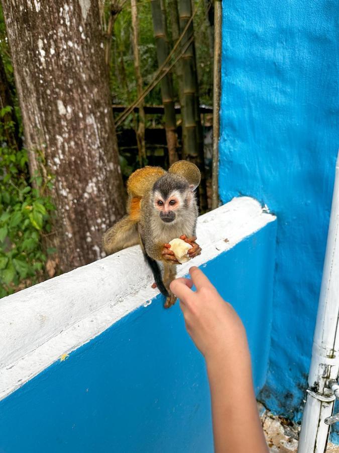 Hospedaje Colibri マヌエル・アントニオ エクステリア 写真